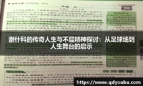 谢什科的传奇人生与不屈精神探讨：从足球场到人生舞台的启示