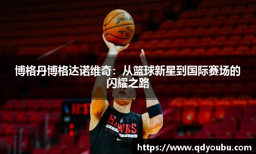 博格丹博格达诺维奇：从篮球新星到国际赛场的闪耀之路